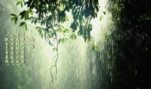 春雨的优美句子