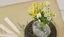 父母对孩子亲情陪护的句子