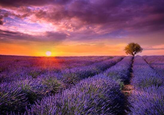 人们有良好的生活享受态度