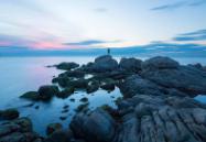 而且是一贯的忠诚