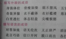 描写初夏的四字词语