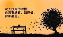 感悟励志的经典句子