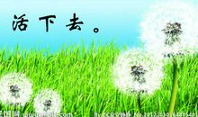 春天的名言名句