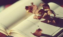 柴静《看见》经典名言名句