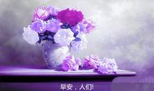 简单的每天一句早安语 早安励志语录经典短句2020