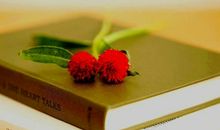 高尔基说过的经典名言 高尔基名句