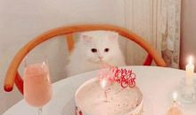 发给男朋友的暖心话