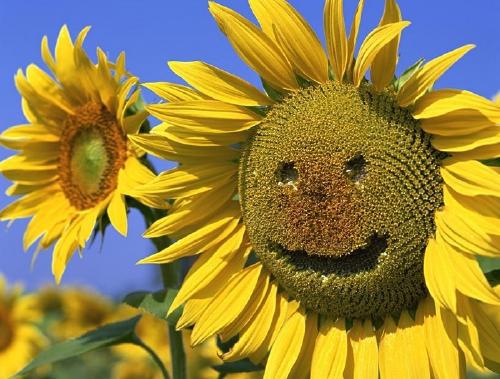 对待客户就像夸大了对上帝的对待