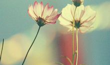 同学录留言大全给同学