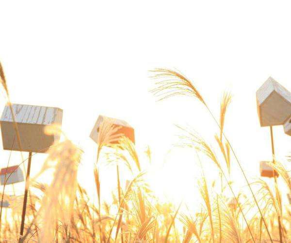 您必须首先遵守自己的心