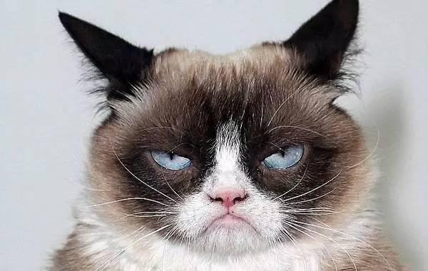 哲理句子：在中国做人必须要具备的8种德性 9