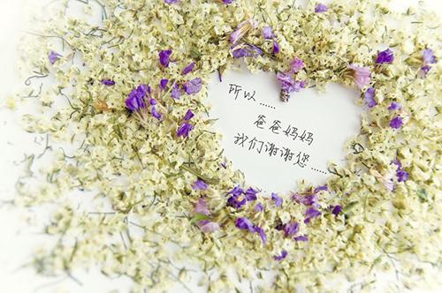 因为世界已经非常肮脏