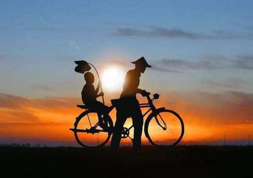 编辑器整理了完整的美丽家庭句子清单