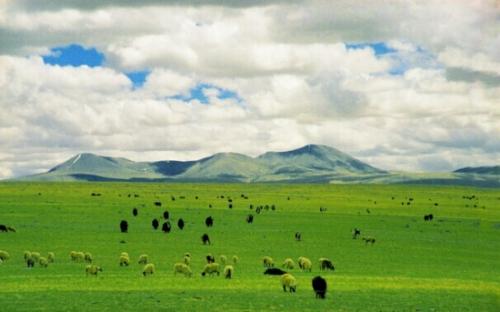 说到草原