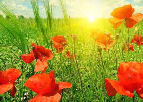 人生旅途的寂寞可以铺成一片蓝天