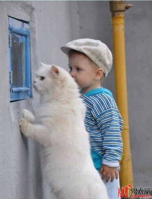 生日是一年一度的生日