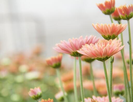 生活真的不像说一句话那么简单