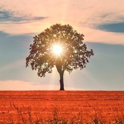 家庭关系也可以很美