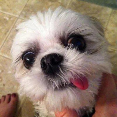 当您认为自己特别迷人时