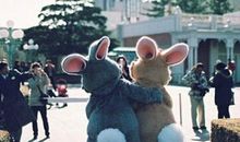 让人笑喷的搞笑句子：在哪里跌倒了，就先在那里躺一会儿吧