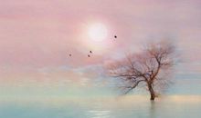 描写风景的优美诗句