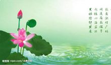 赞美荷花的诗句古诗