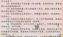 描写师教的句子