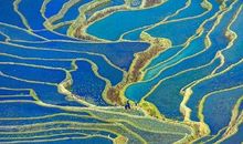 莫言网上最火的20句话 莫言说过的经典名言