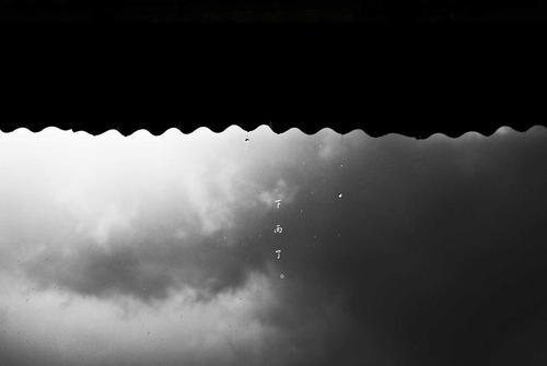 不如拍摄自己导演的电影