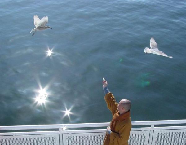 海涛大师关于同情20的禅句 1