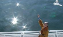 海涛法师关于慈悲的禅语20句