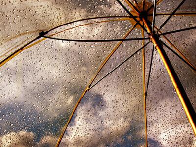 人们害怕在一件事上感到失望