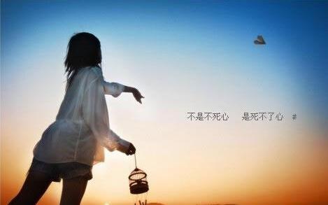    如果您没有遇到悲伤的句子  1