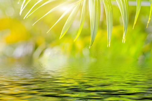 快乐和鼓舞人心的句子是什么