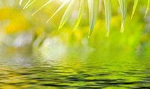 开心的句子关于励志