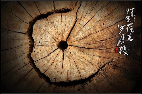 岁月的洪流席卷了年轻人