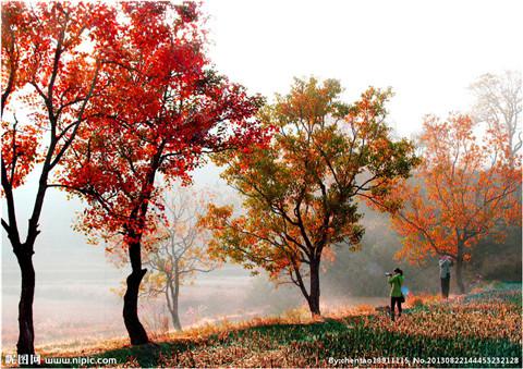 孤独的身影透过窗帘传达出孤独的幻觉