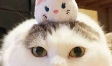 写亲情温暖的句子