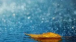 如果我什么都不给任何人和我的心