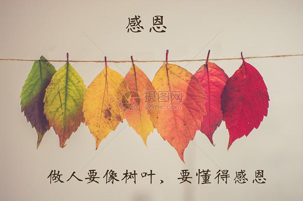 就像刚脱水的玉轮冰盘一样