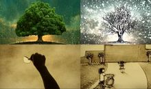 写亲情的优美句子