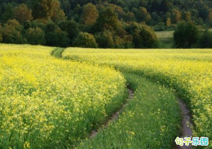 没有人等待天空