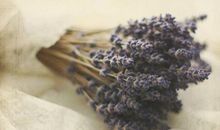 文艺爱情小短句 干净文艺爱情短句