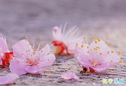 你是我心上的朱砂痣