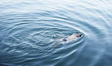 海边开心的句子