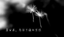 形容对一个人失望到极致的句子