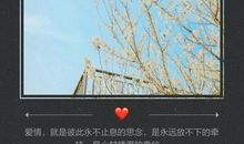 qq爱情经典句子