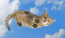 亲情间优美的句子