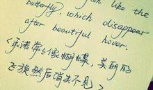 暂时英语表白的句子