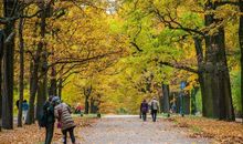 开心舒心情的句子